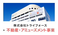 株式会社トライフォース 不動産・アミューズメント事業